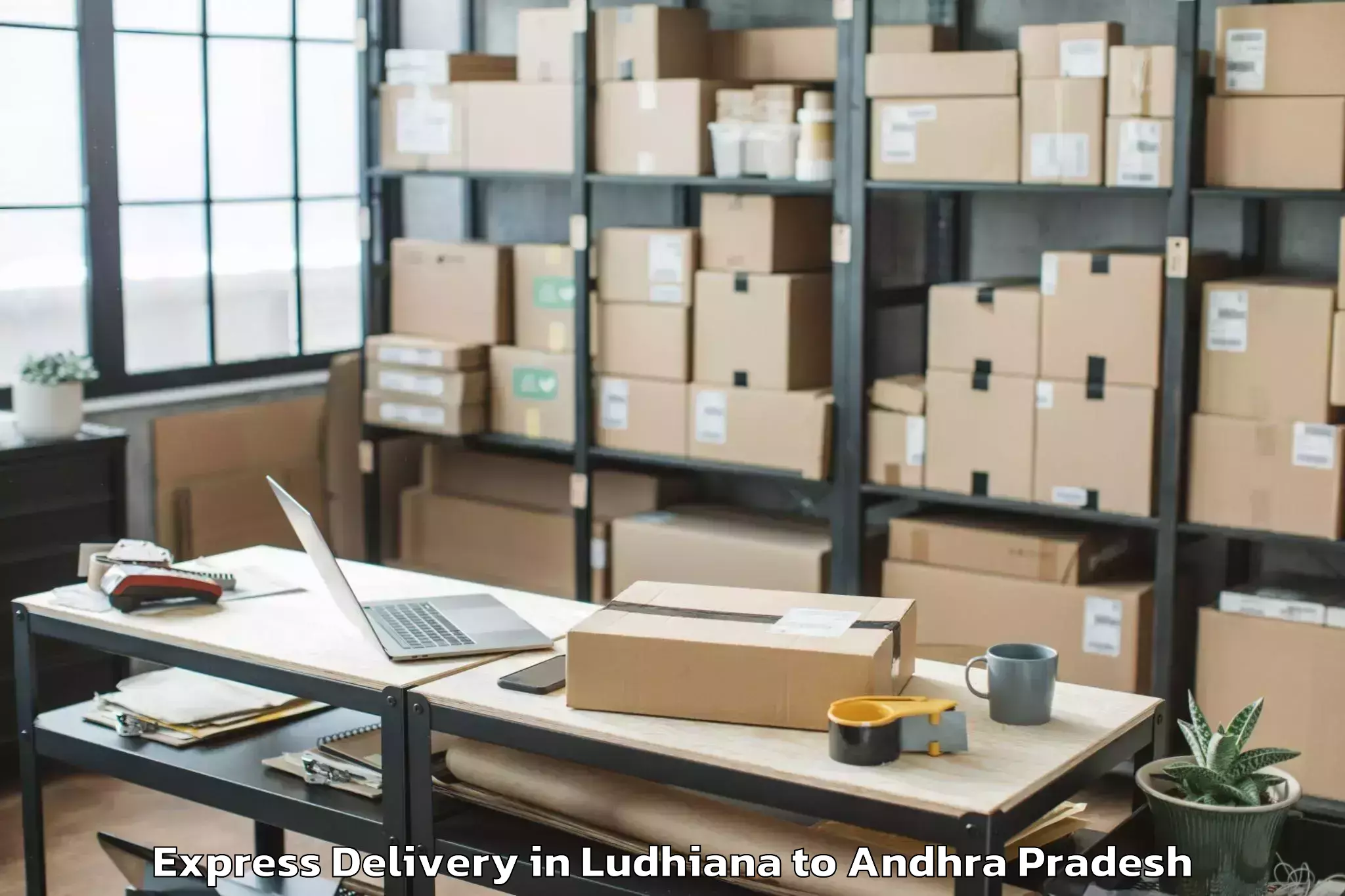 Professional Ludhiana to Pedda Kadubur Express Delivery